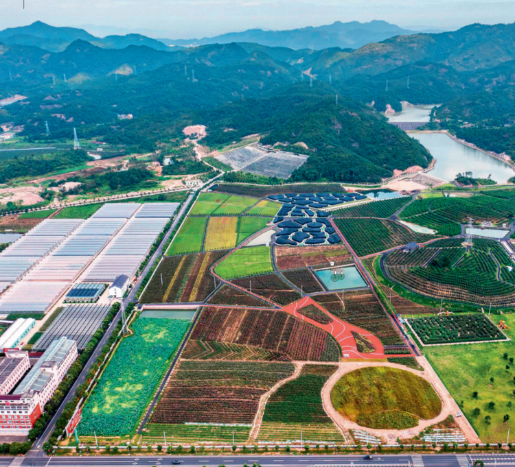 瞭望·治国理政纪事｜“千万工程”塑造美丽乡村
